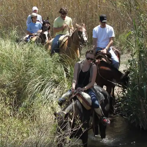 RANCHO VIEJO_MAIPÚ_MENDOZA (1)