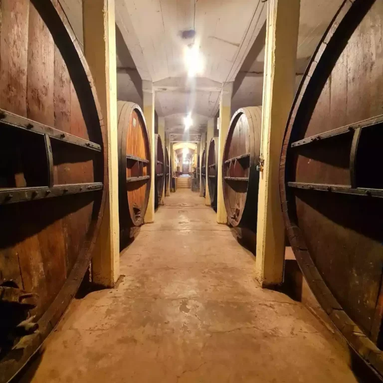 don_bosco_bodega (3)