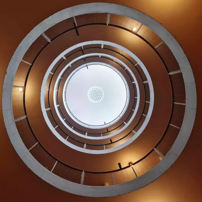 don_bosco_bodega (4)