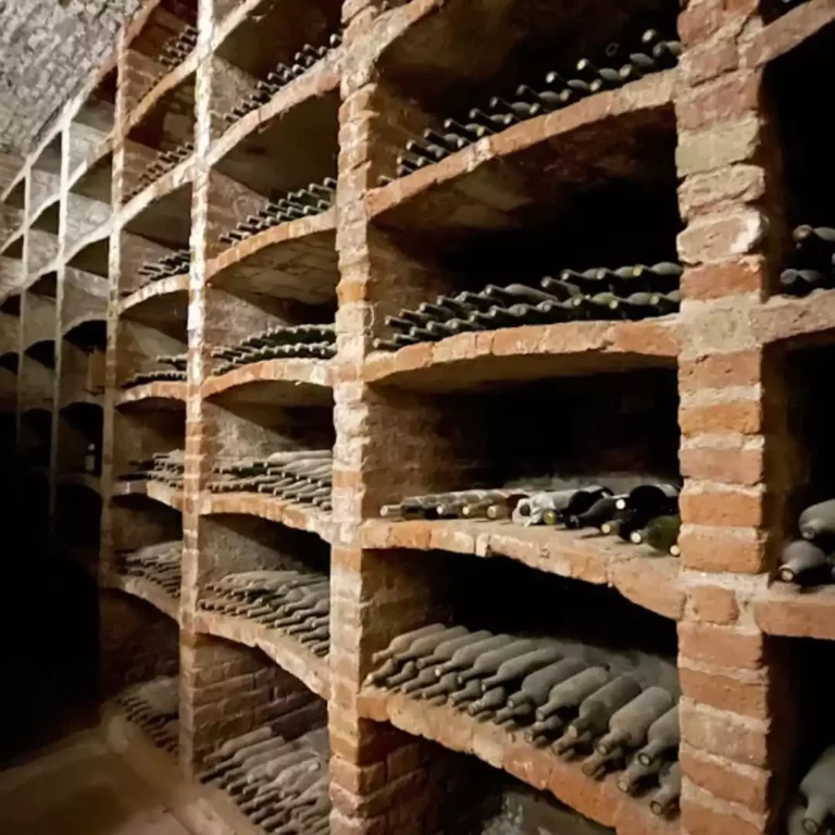 don_bosco_bodega (5)