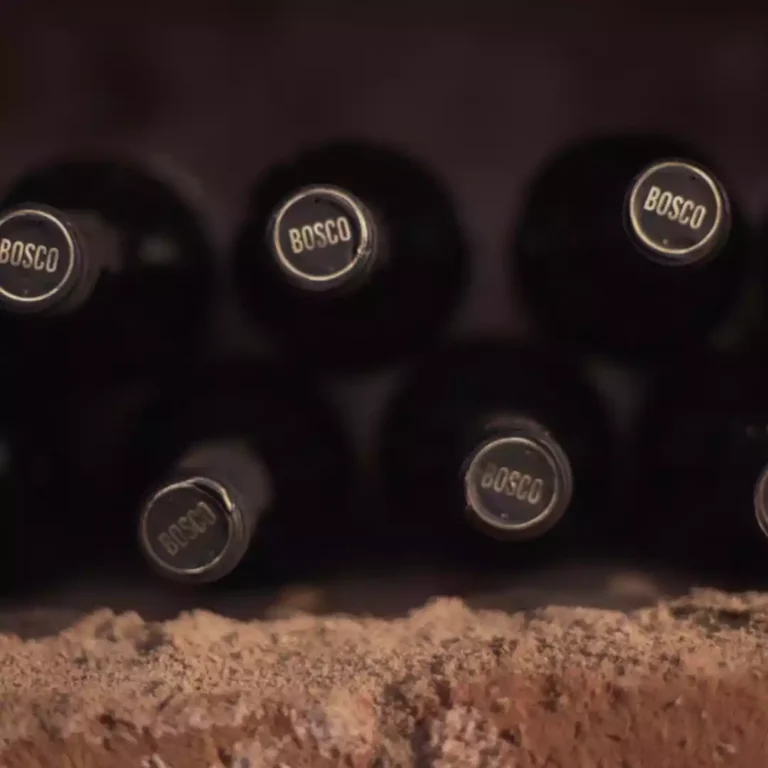 don_bosco_bodega (7)