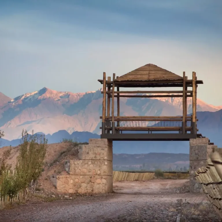 finca_agostino__Bodega_Mendoza_Maipú (2)