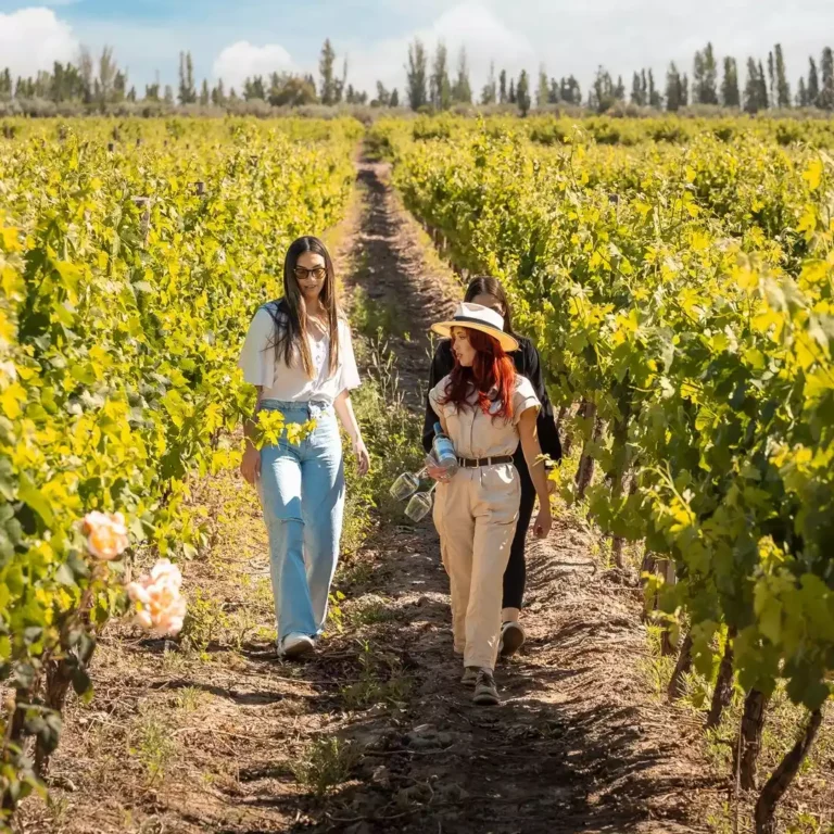 trivento_maipú_mendoza_bodega (7)