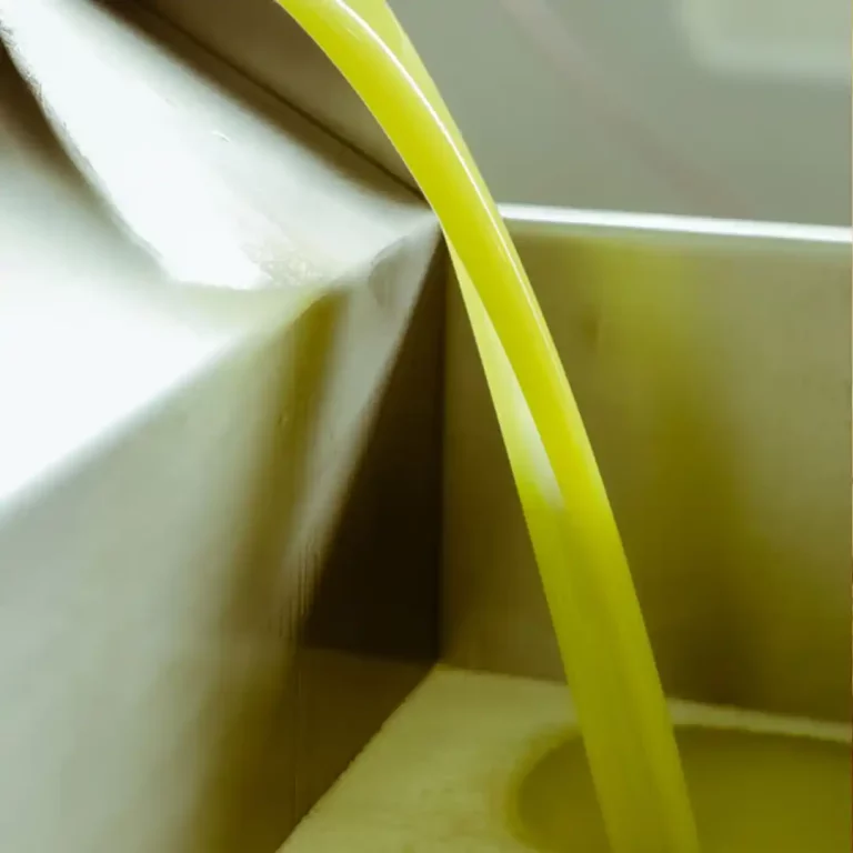 zuelo_olivicola_maipu (7)