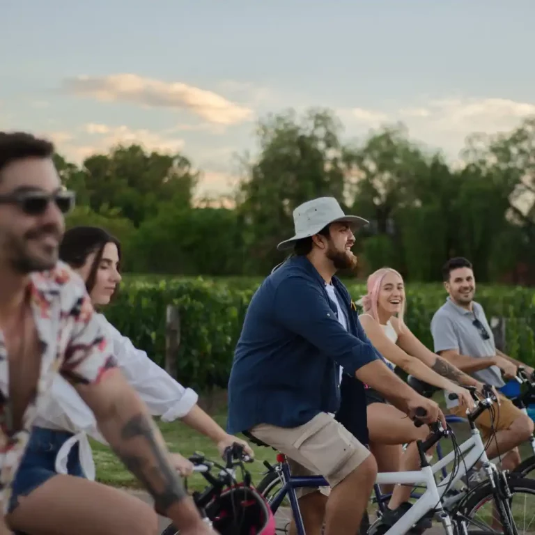 bicicletas en maipu