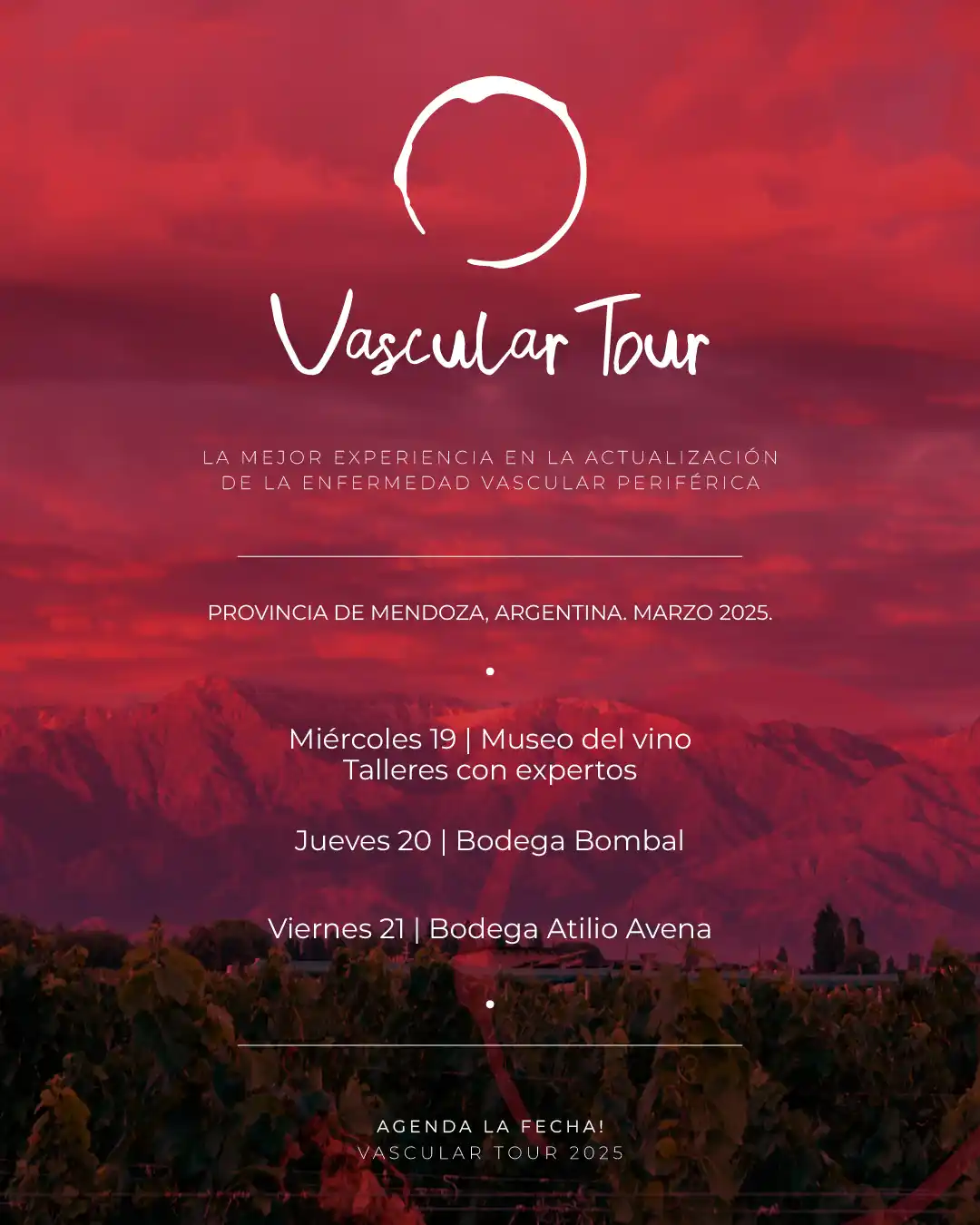 vascular_tour_mendoza_maipú